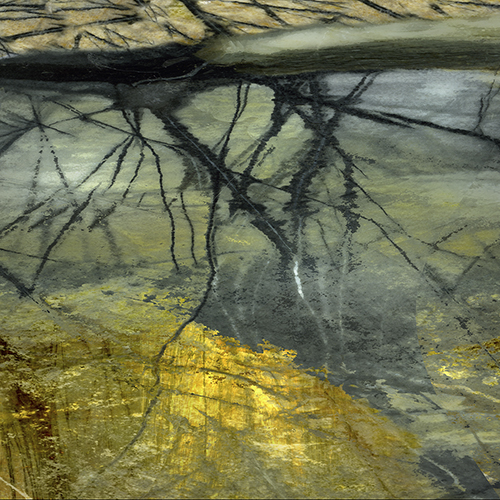Stone 11: Cherry Creek Jasper Abstract